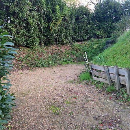 Gite Des Petites Ruelles : Familial Et Chaleureux Trôo Exteriér fotografie